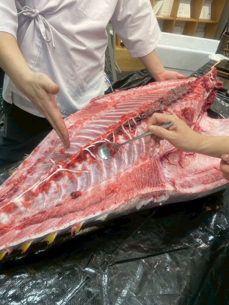 【事例紹介】華やかな着物姿と中落ち体験で盛り上がる——合同新年会にマグロ解体ショー3