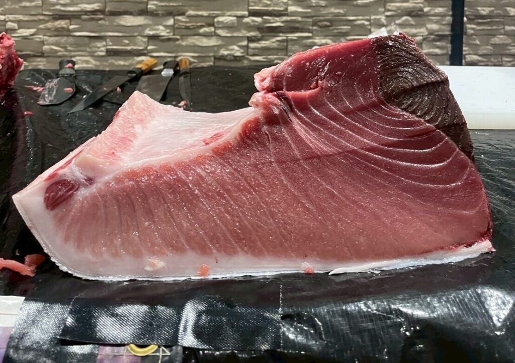 【進化系忘年会】年に一度のビッグイベントに、100kgの本マグロが登場