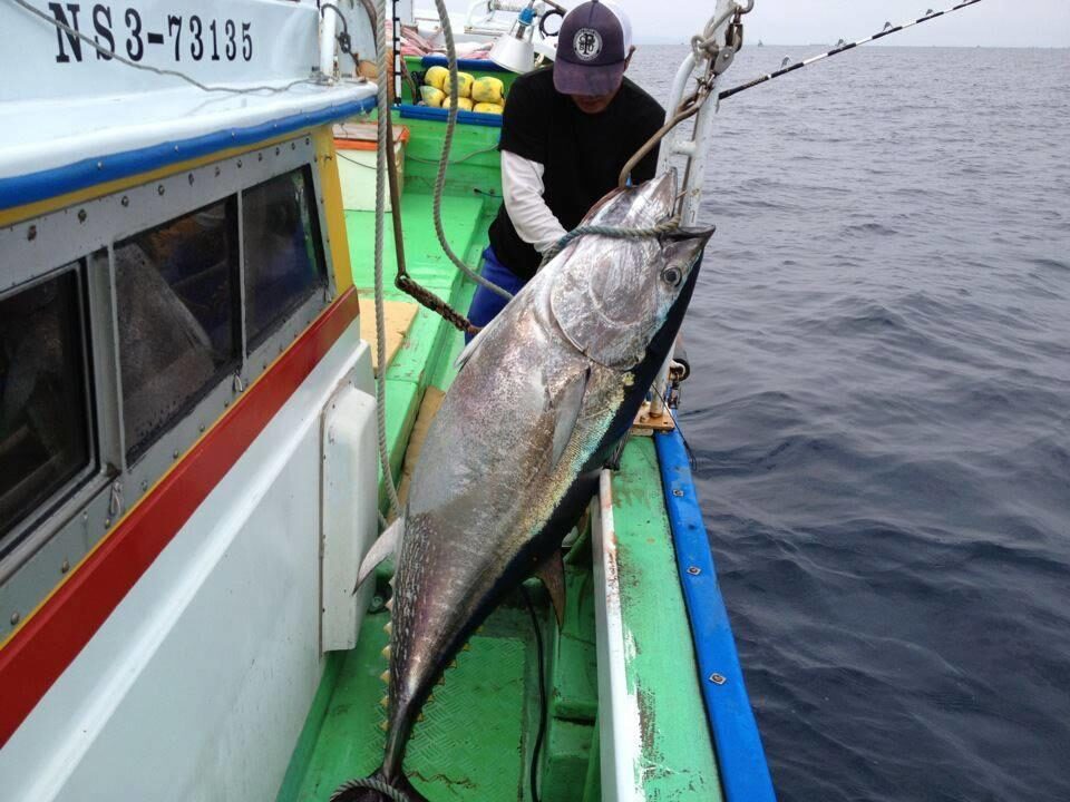 一本釣り
