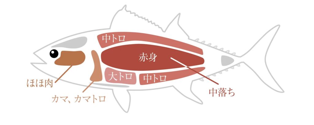 中落ち図