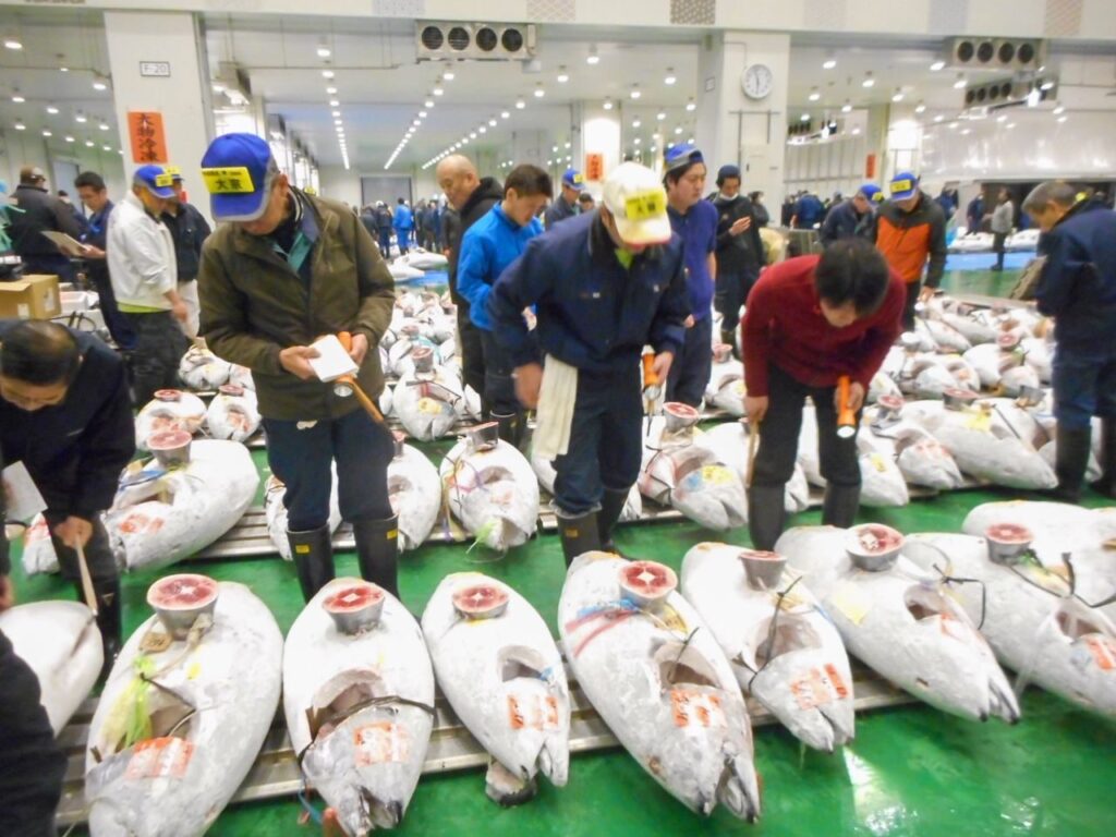 マグロのせり