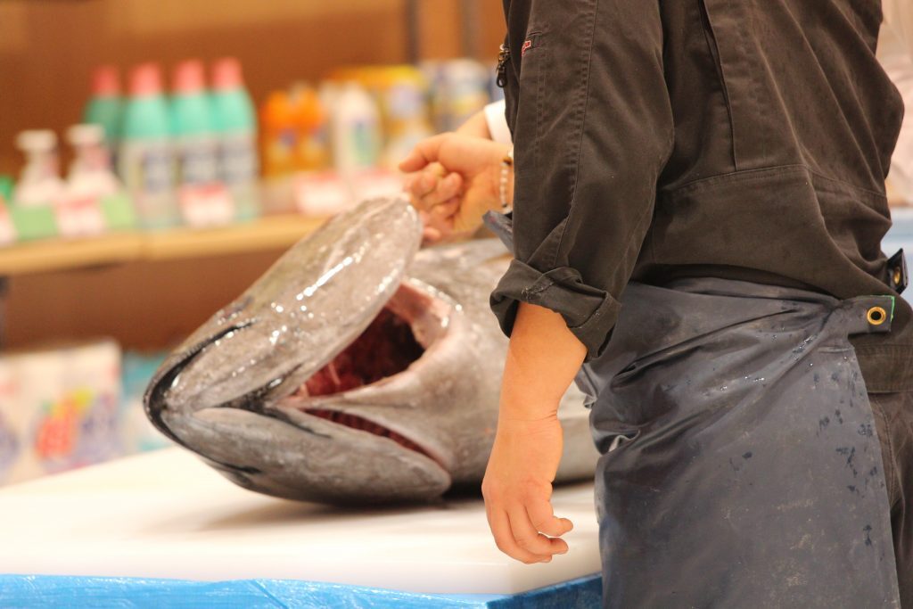 マグロのえら