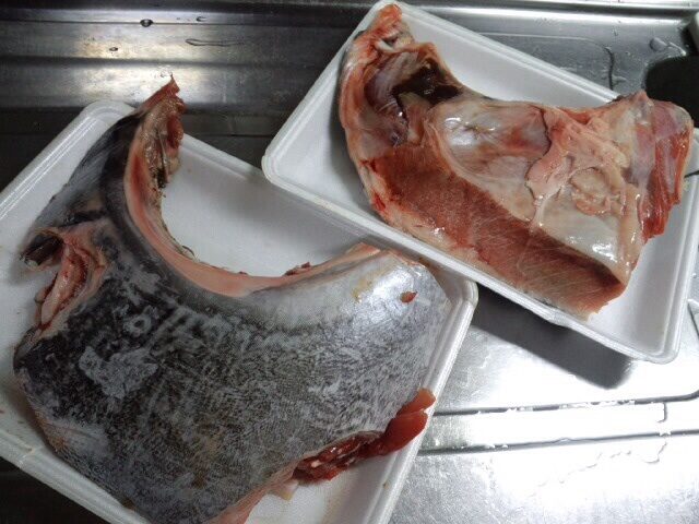 マグロカマ