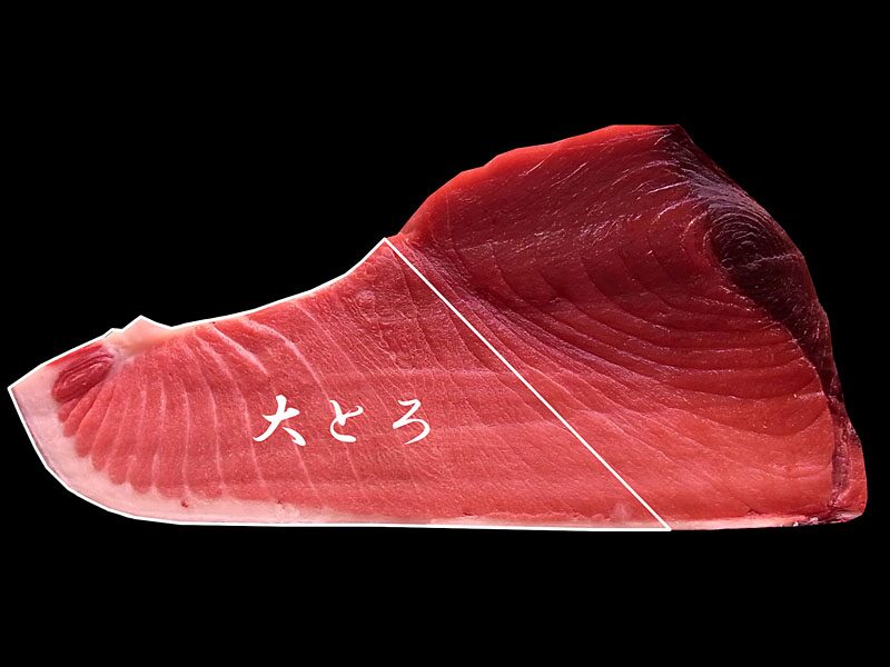 大トロ